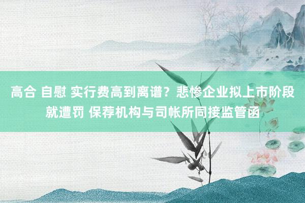 高合 自慰 实行费高到离谱？悲惨企业拟上市阶段就遭罚 保荐机