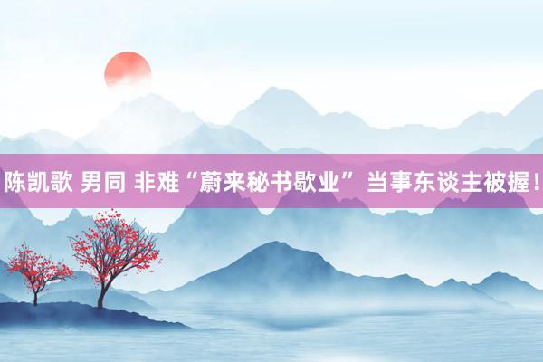陈凯歌 男同 非难“蔚来秘书歇业” 当事东谈主被握！