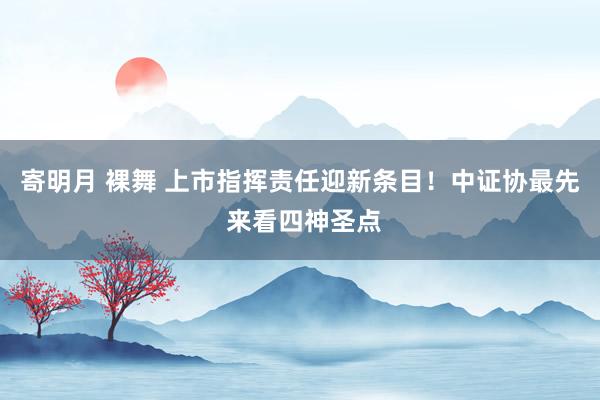 寄明月 裸舞 上市指挥责任迎新条目！中证协最先 来看四神圣点
