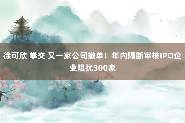徐可欣 拳交 又一家公司撤单！年内隔断审核IPO企业阻扰300家