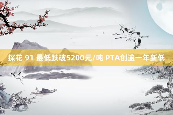 探花 91 最低跌破5200元/吨 PTA创逾一年新低