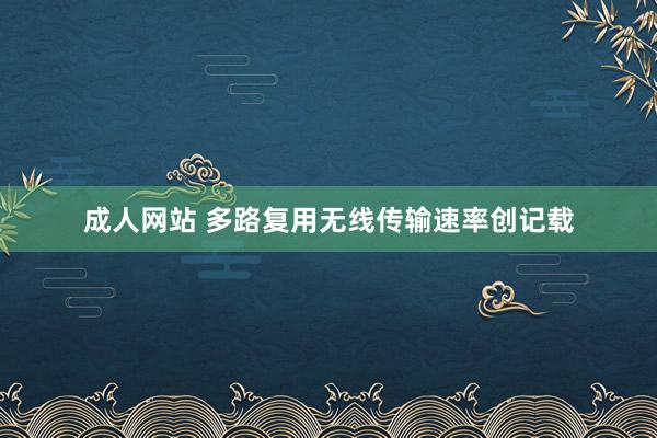 成人网站 多路复用无线传输速率创记载