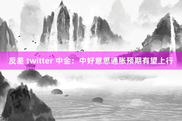 反差 twitter 中金：中好意思通胀预期有望上行