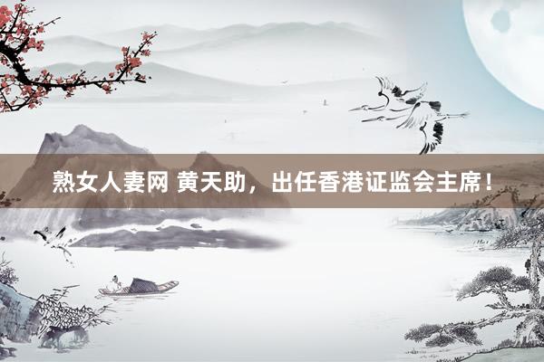 熟女人妻网 黄天助，出任香港证监会主席！