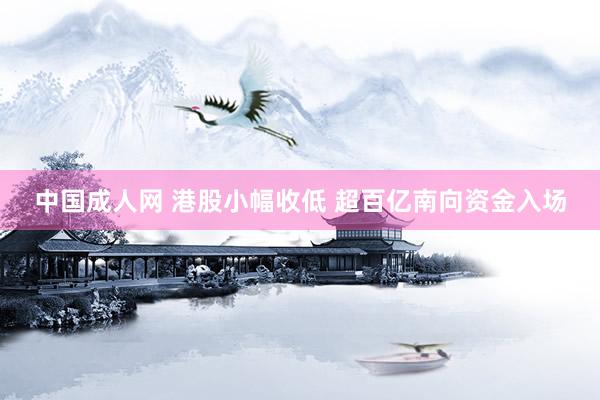中国成人网 港股小幅收低 超百亿南向资金入场