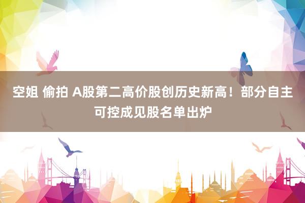 空姐 偷拍 A股第二高价股创历史新高！部分自主可控成见股名单