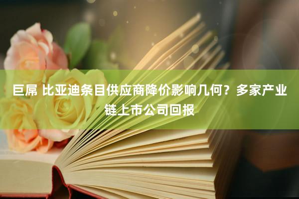 巨屌 比亚迪条目供应商降价影响几何？多家产业链上市公司回报