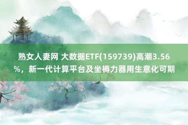 熟女人妻网 大数据ETF(159739)高潮3.56%，新一