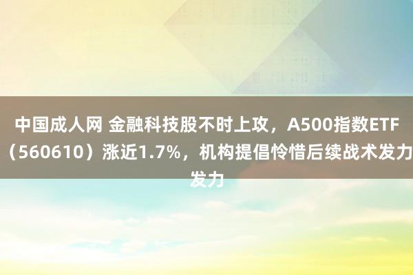 中国成人网 金融科技股不时上攻，A500指数ETF（5606