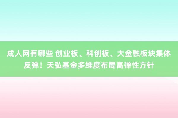 成人网有哪些 创业板、科创板、大金融板块集体反弹！天弘基金多