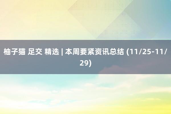 柚子猫 足交 精选 | 本周要紧资讯总结 (11/25-11/29)