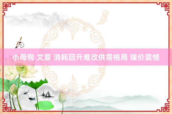 小母狗 文爱 消耗回升难改供需格局 镍价震憾