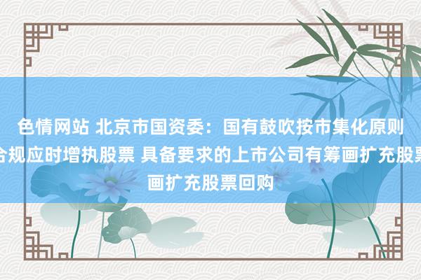 色情网站 北京市国资委：国有鼓吹按市集化原则照章合规应时增执股票 具备要求的上市公司有筹画扩充股票回购