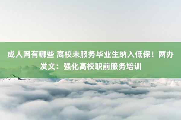 成人网有哪些 离校未服务毕业生纳入低保！两办发文：强化高校职前服务培训