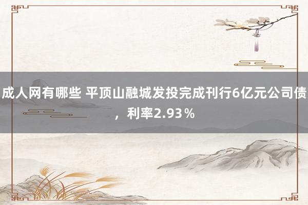 成人网有哪些 平顶山融城发投完成刊行6亿元公司债，利率2.93％